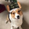 tatum_nachtrab
